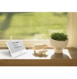 Centralina d'allarme GSM - SAFE X