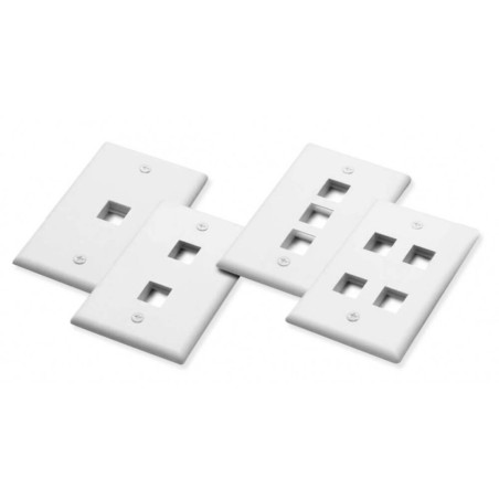 PLACCA PORTA 2*FRUTTI KEYSTON PER BOX 503 COLORE BIANCO